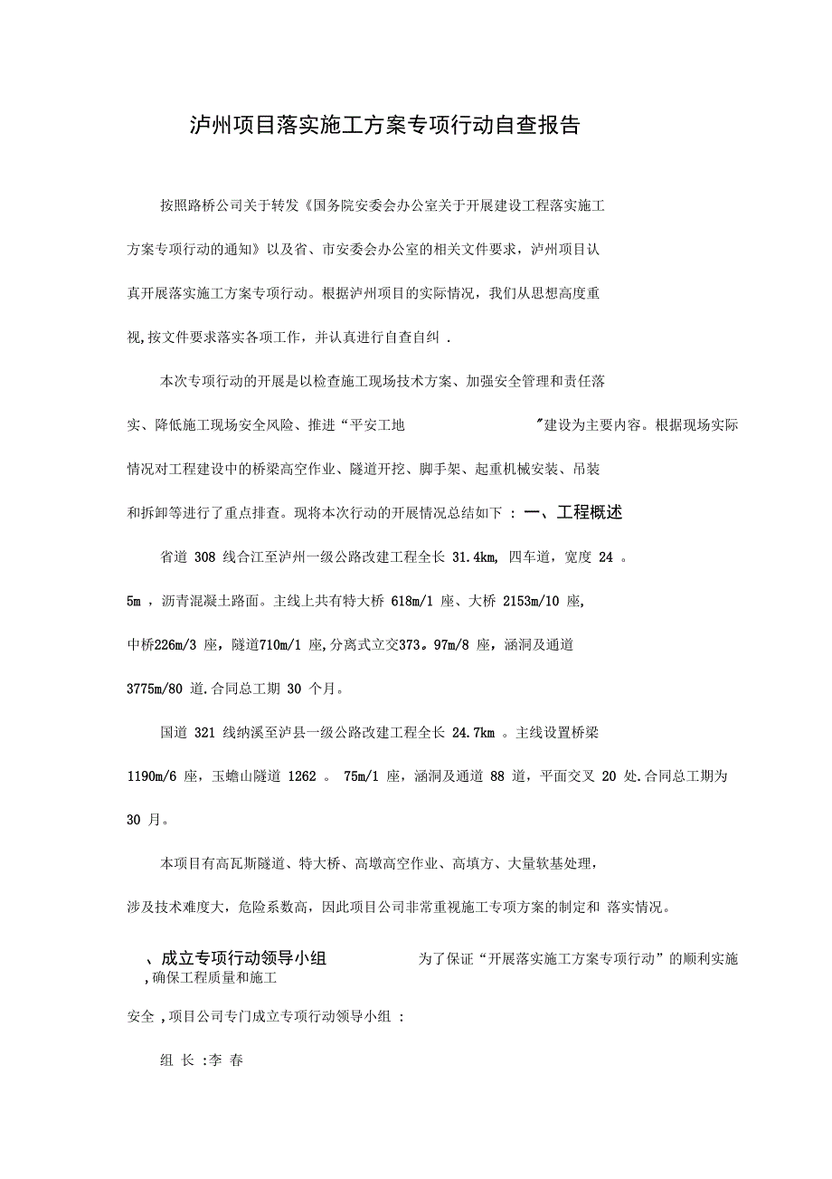 泸州项目落实施工方案专项行动自查报告完整_第2页