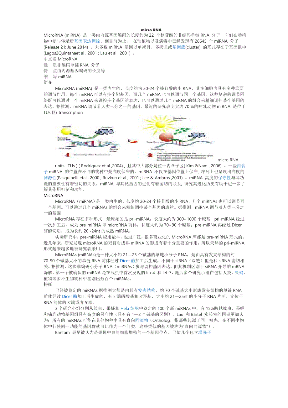 microRNA简介_第1页