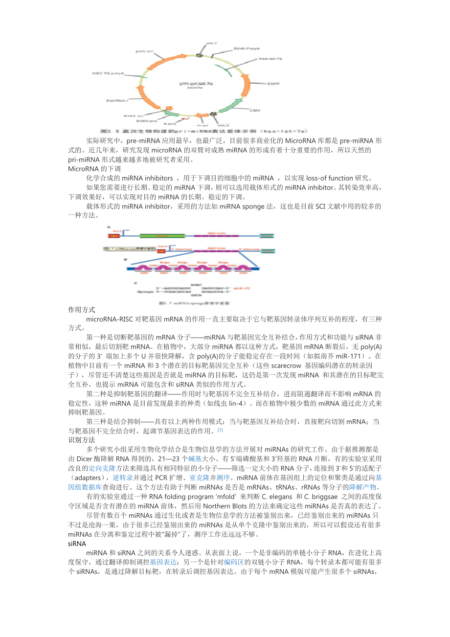 microRNA简介_第3页