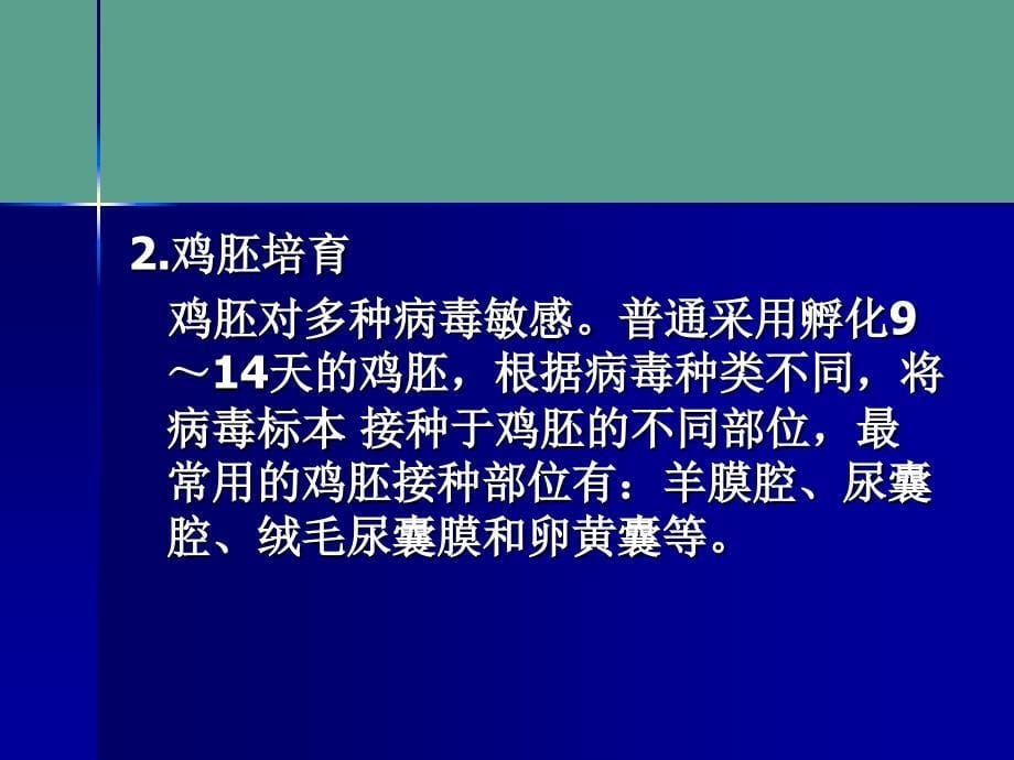 病毒感染的诊断与防治ppt课件_第5页