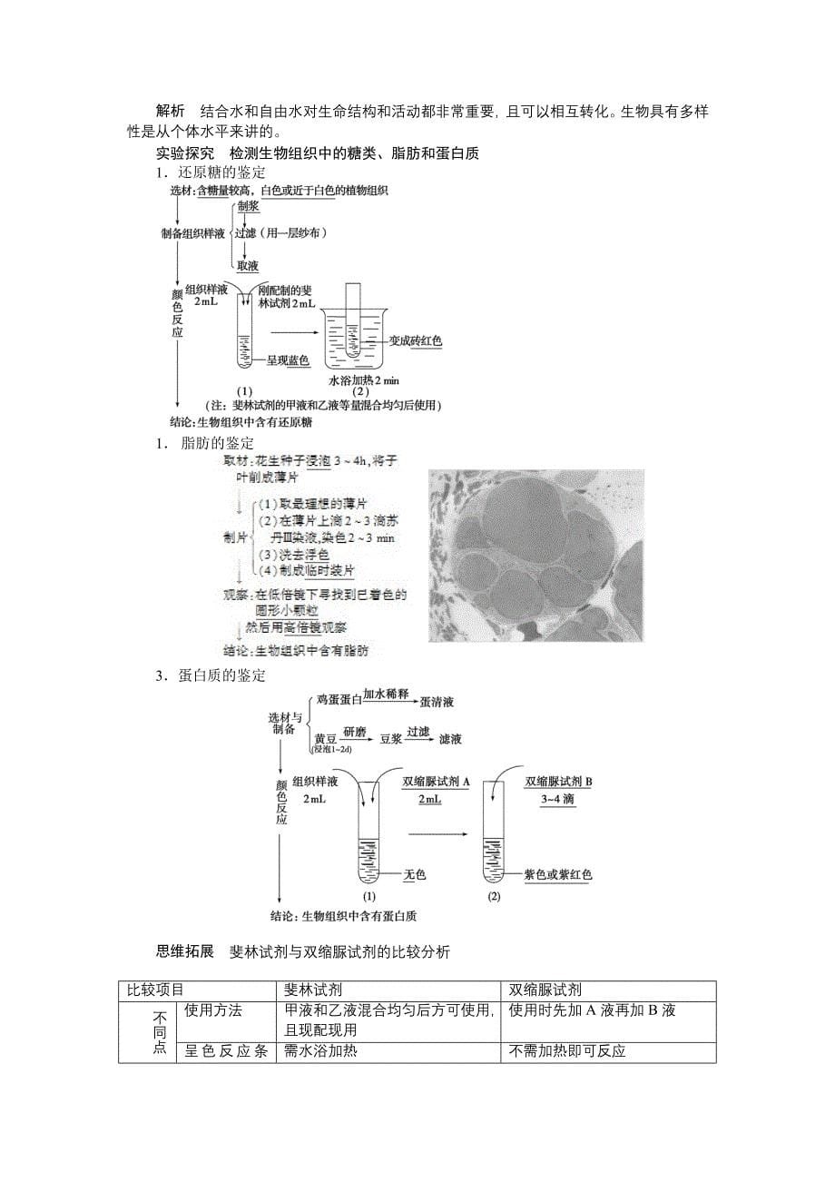 第一单元学案2细胞中的元素和化合物细胞中的无机物.doc_第5页