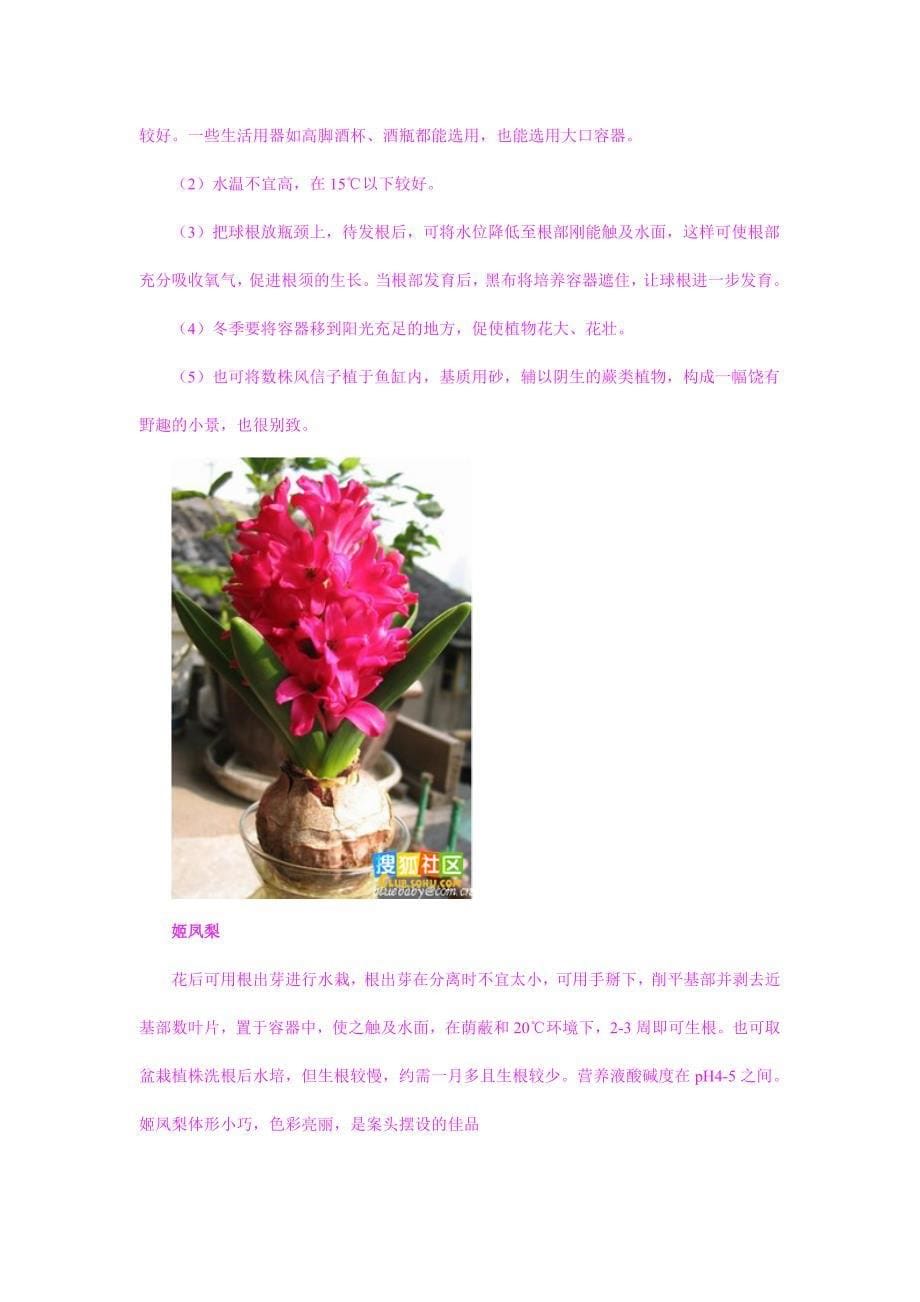 家庭各种花卉的水培方法_第5页