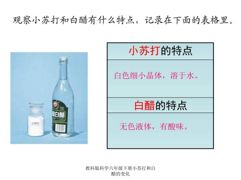 教科版科学六年级下册小苏打和白醋的变化课件_第3页