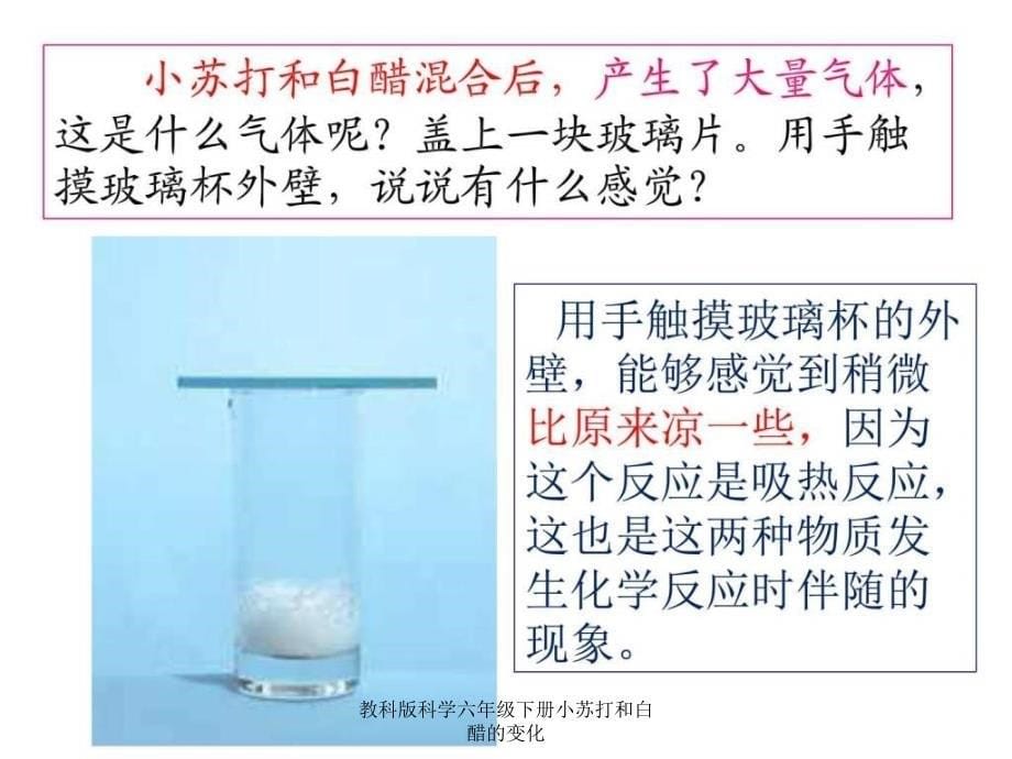 教科版科学六年级下册小苏打和白醋的变化课件_第5页