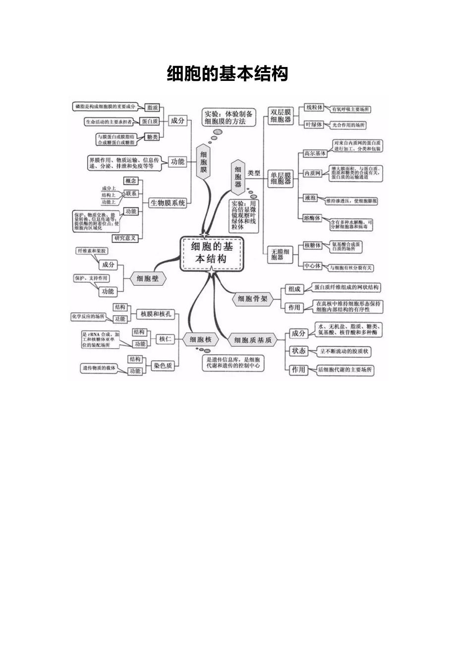 高中生物20张思维导图(可直接打印)_第2页