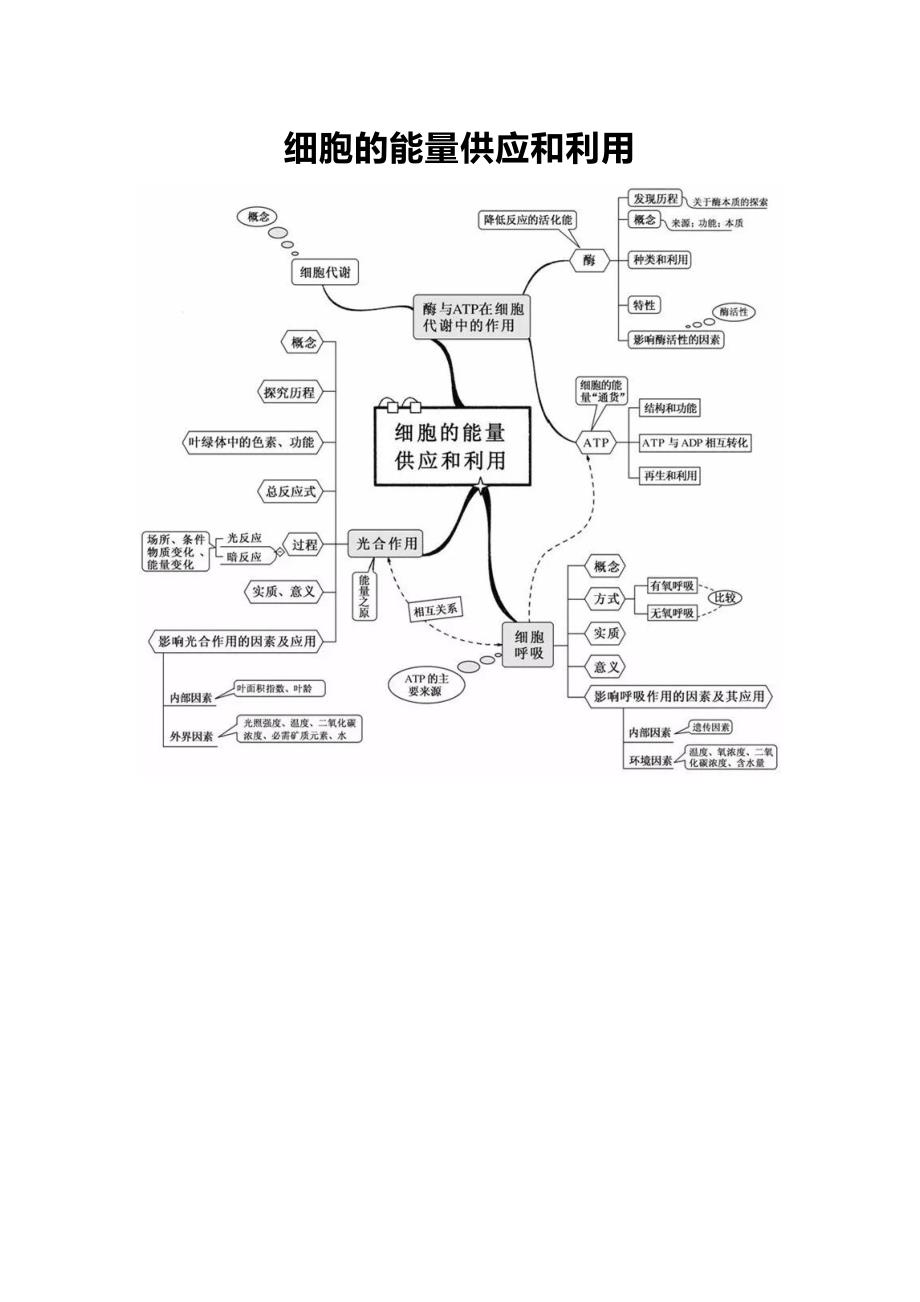 高中生物20张思维导图(可直接打印)_第4页