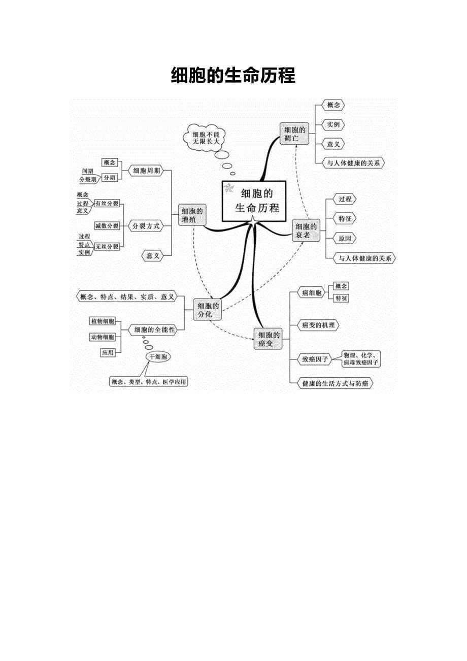 高中生物20张思维导图(可直接打印)_第5页