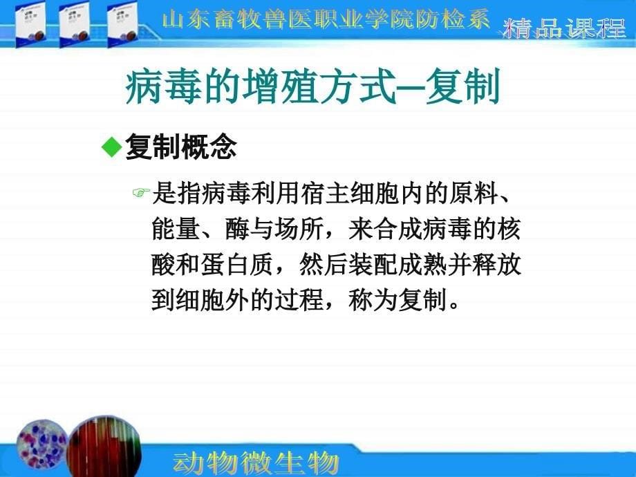 动物微生物病毒的增殖和培养_第5页