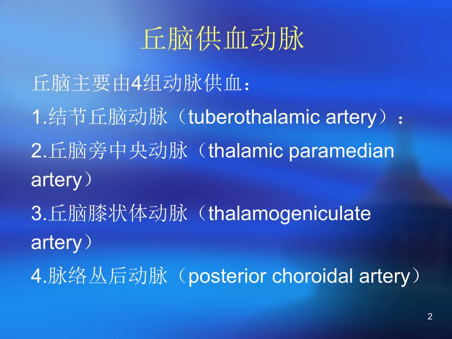 丘脑供血动脉及丘脑梗死PPT课件_第2页