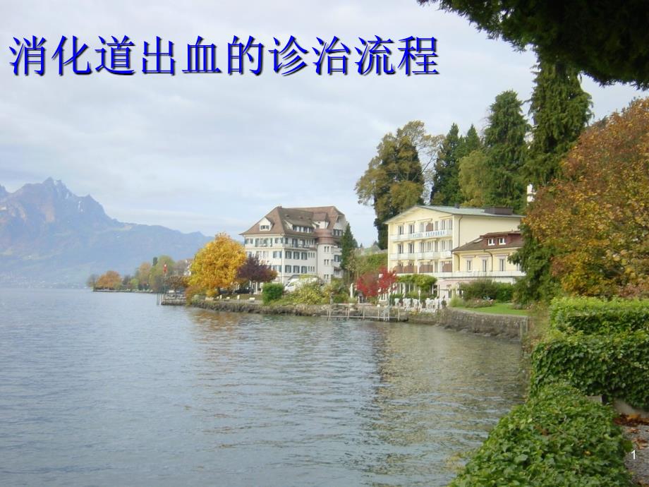 消化道出血的诊治流程ppt课件_第1页
