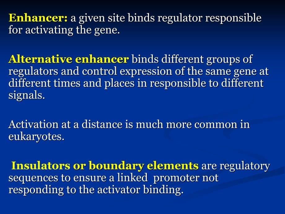 分子生物学教学课件：CHAPTER 17 Gene Regulation in Eukaryotes_第5页