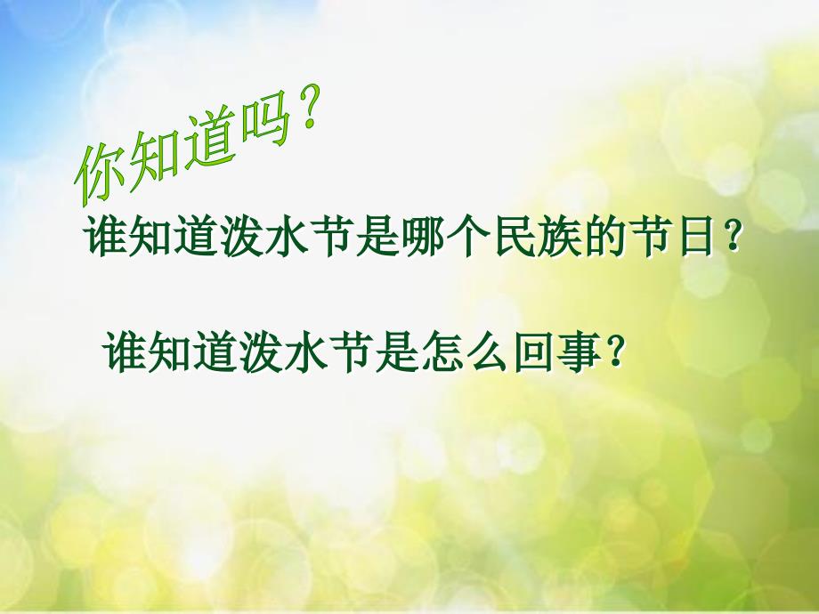 部编语文二年级上册(课堂教学课件5)难忘的泼水节_第3页