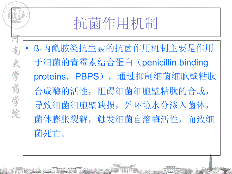 β内酰胺类抗生素-学生用课件_第3页