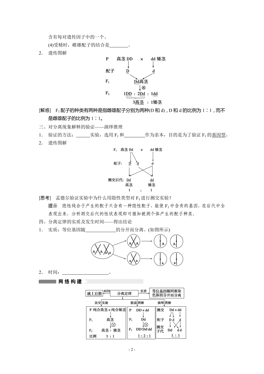 人教版必修二1-1孟德尔的豌豆杂交试验(一)导学案.doc_第2页