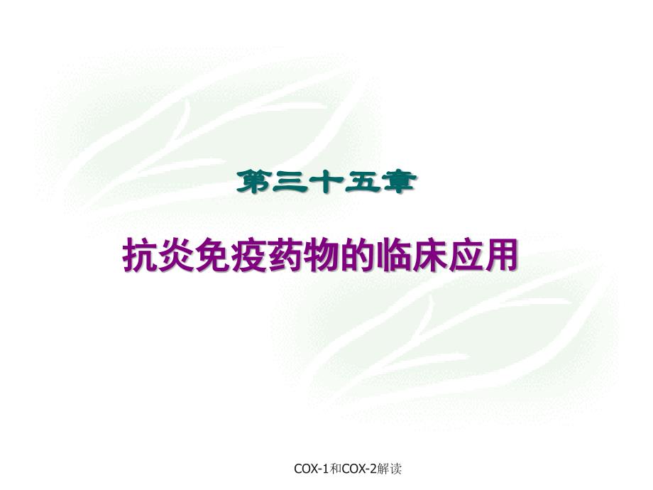 COX1和COX2解读_第1页