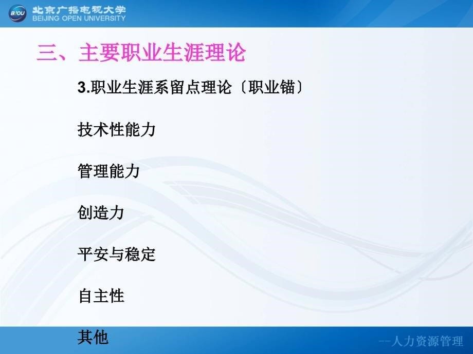 中国人民大学教授人力资源的成长职业生涯规划与管理_第5页