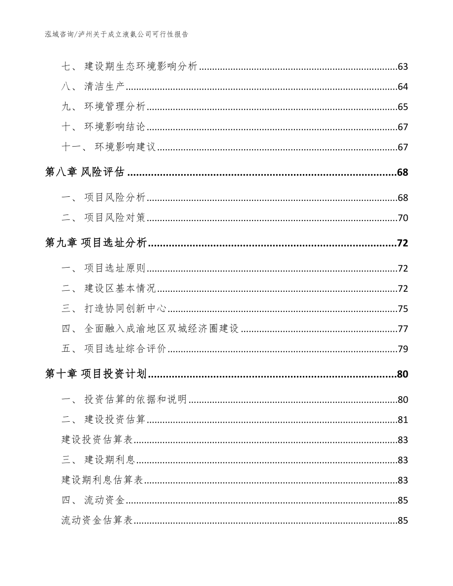 泸州关于成立液氨公司可行性报告（模板范本）_第4页