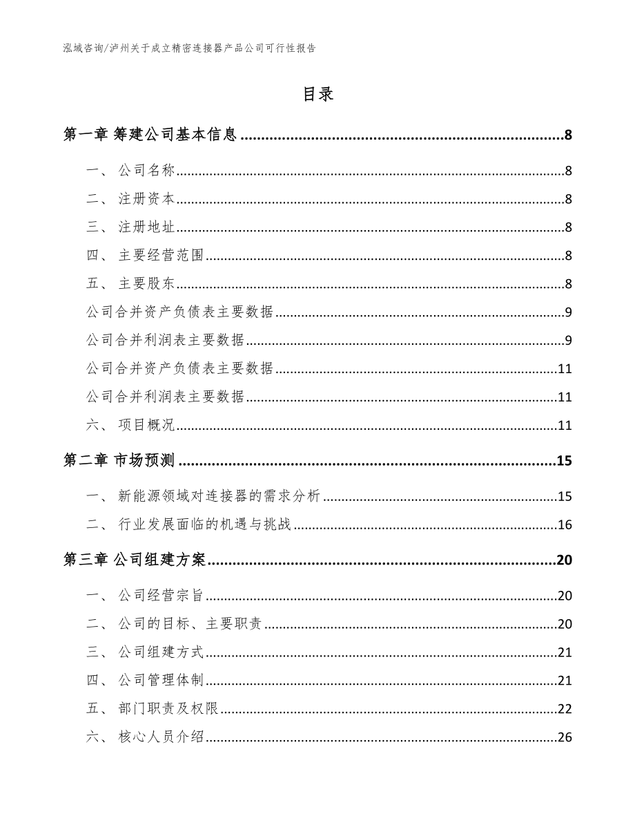 泸州关于成立精密连接器产品公司可行性报告参考模板_第2页