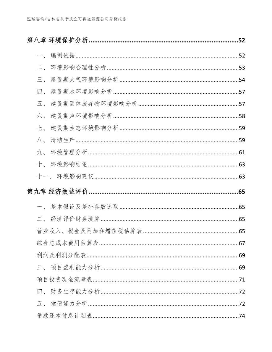 吉林省关于成立可再生能源公司分析报告_第5页