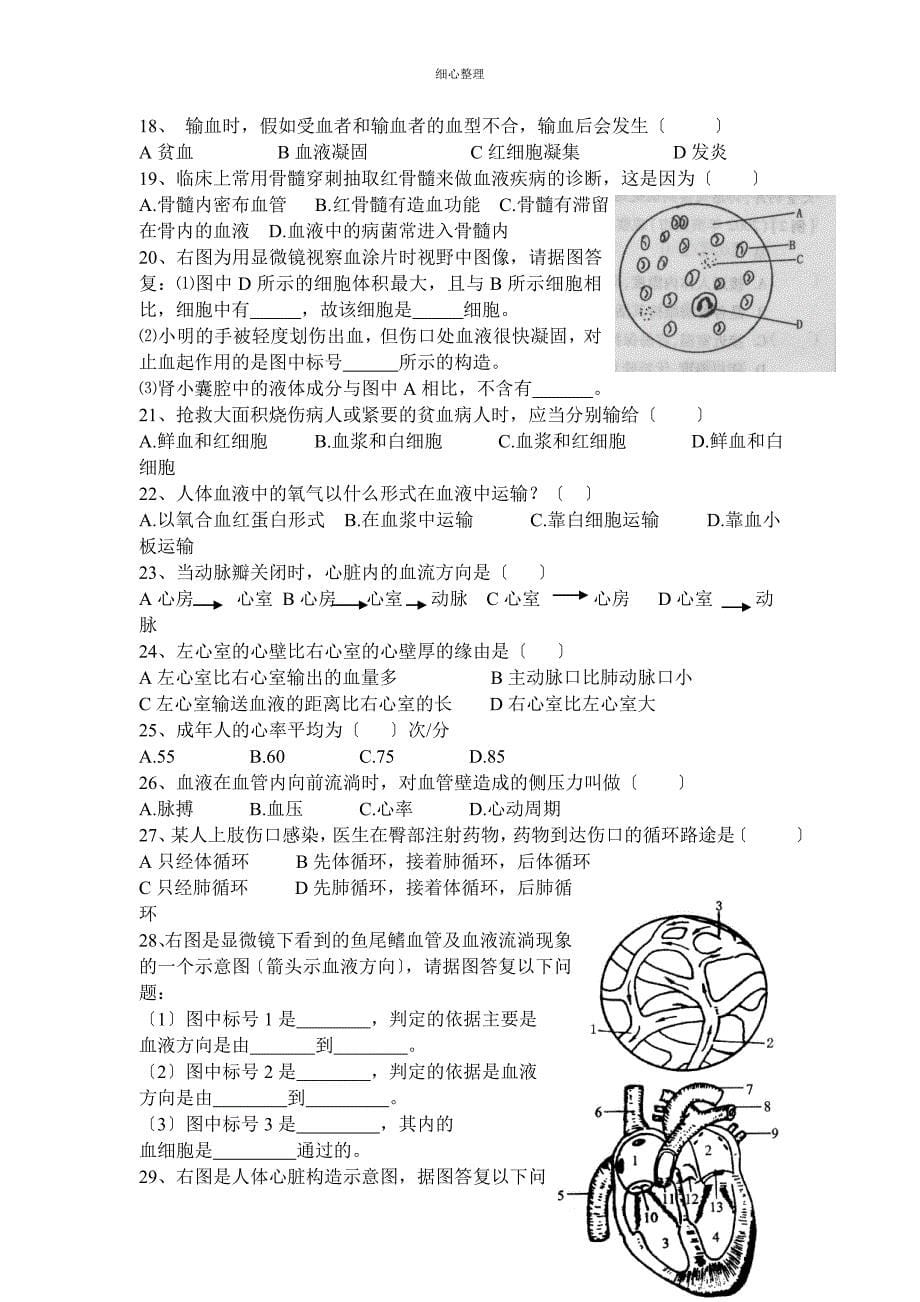 人体内物质的运输知识点、练习题复习_第5页