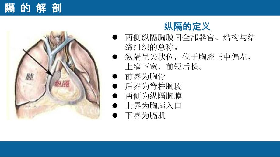 医学纵隔肿瘤教学查房专题PPT培训课件_第4页