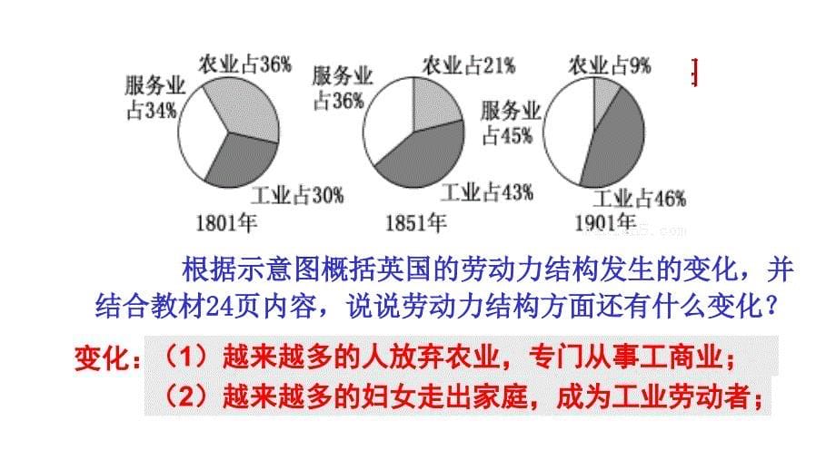 第6课-工业化国家的社会变化课件_第5页