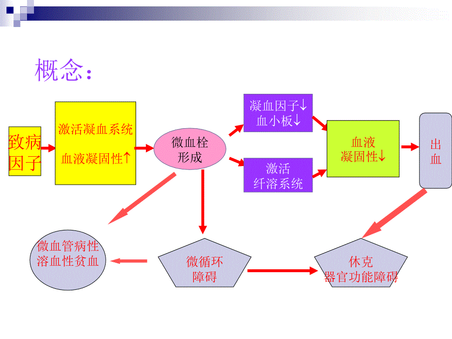 第12章 弥散性血管内凝血_第3页