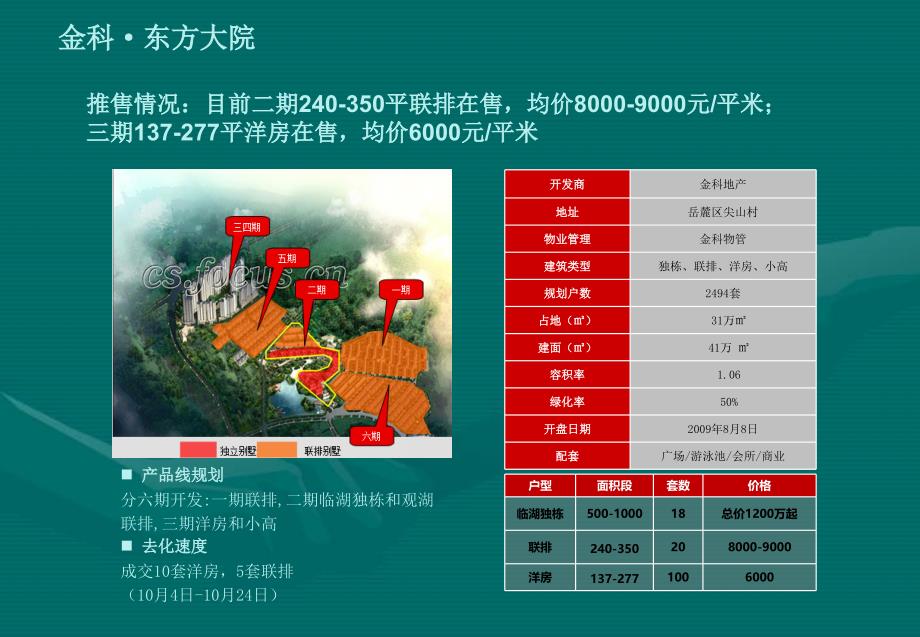 长沙望城金星路板块别墅市场分析24p_第2页