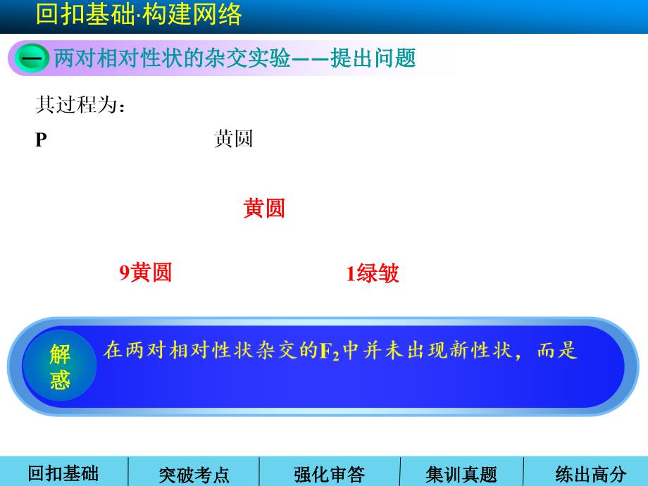 高三第一轮复习孟德尔的豌豆杂交实验二_第2页