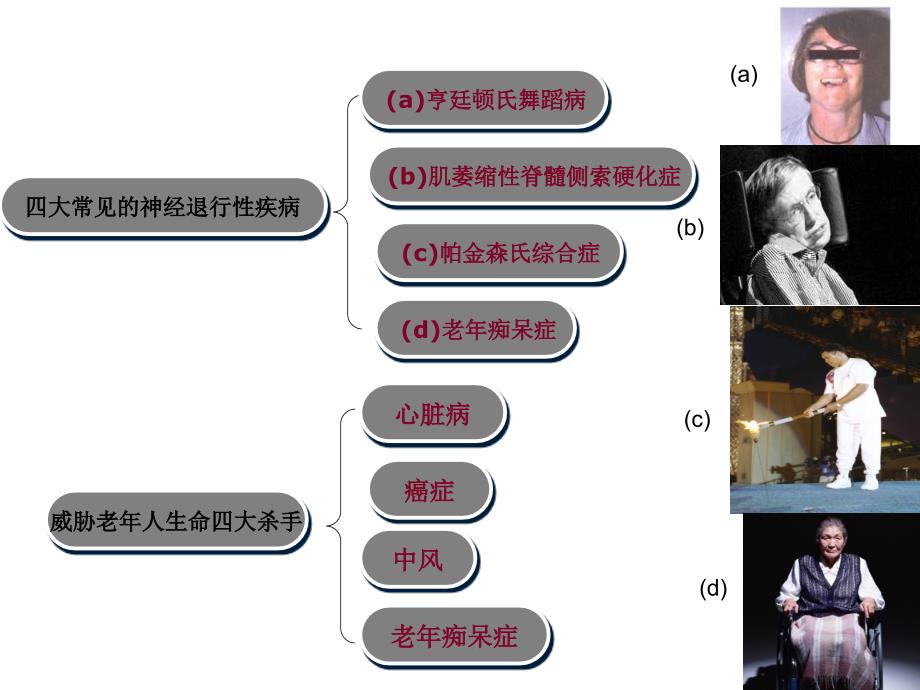 老年痴呆症的病理机制与螯合治疗研究进展_第3页