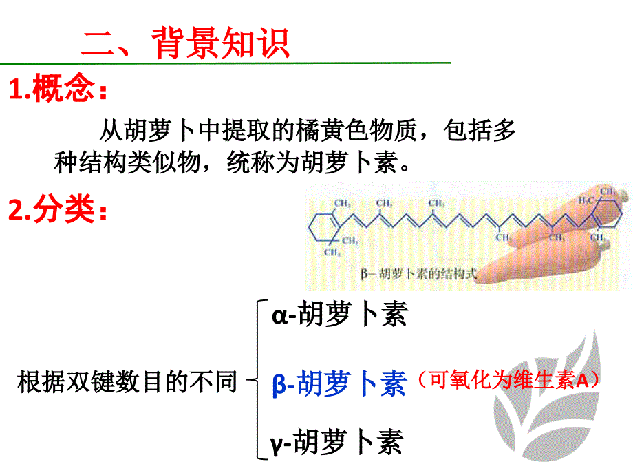 人教版-生物-高二-选修一ppt课件：第六章-第二节-胡萝卜素的提取-1课时_第4页