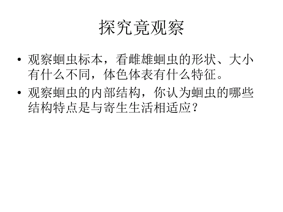 3线形动物、环节动物、软体动物2_第3页