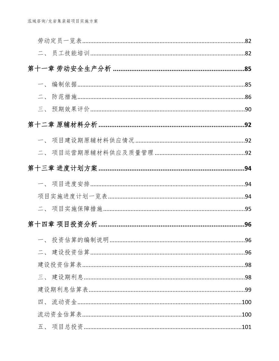 龙岩集装箱项目实施方案（范文参考）_第5页