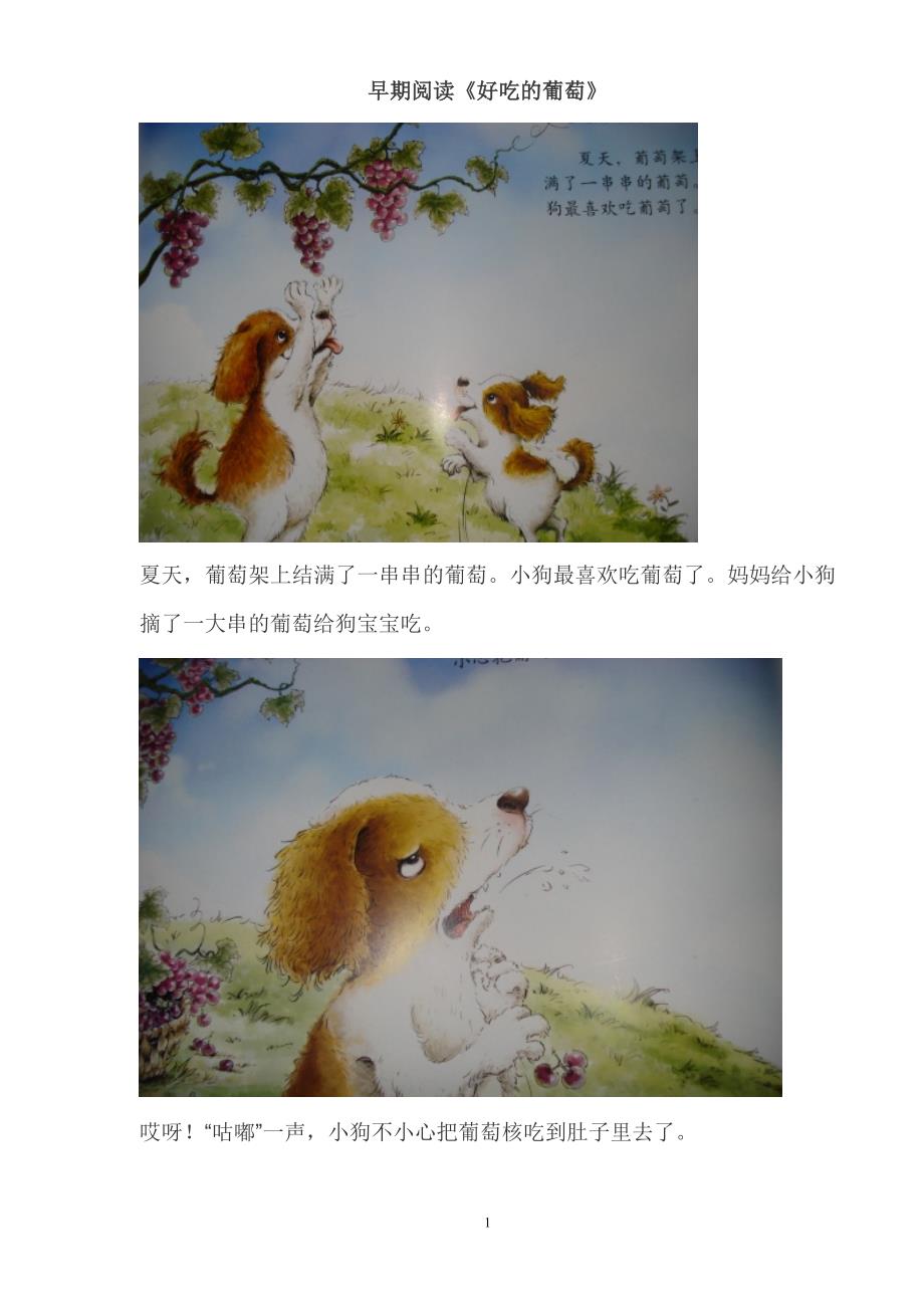 早期阅读 好吃的葡萄.doc_第1页