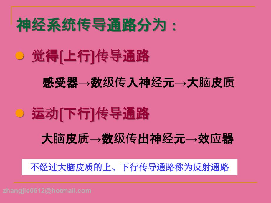 系统解剖学27神经系统的传导通路ppt课件_第3页