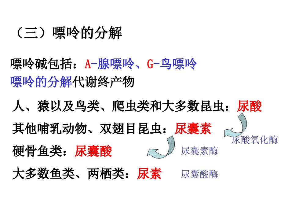 第九章核酸的降解和核苷酸的代谢_第3页