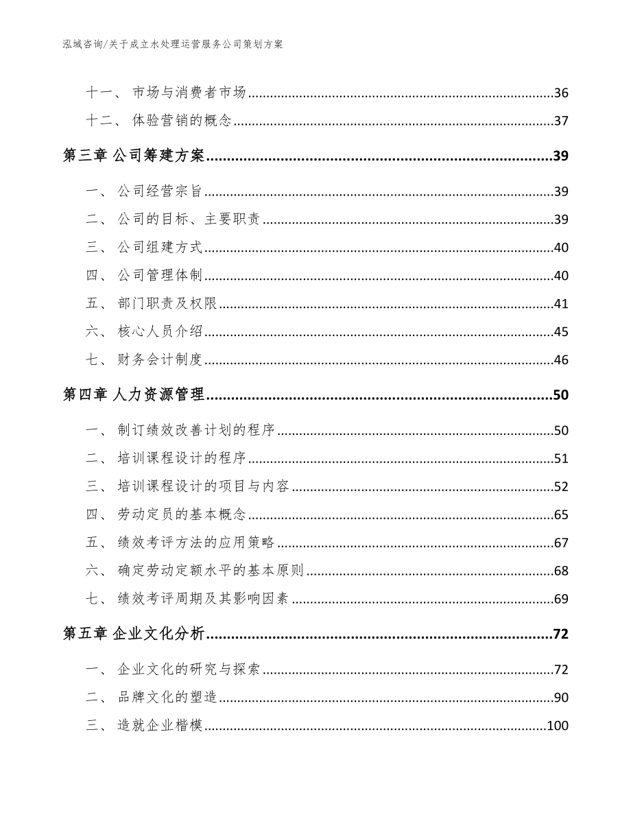 关于成立水处理运营服务公司策划方案【范文参考】_第2页