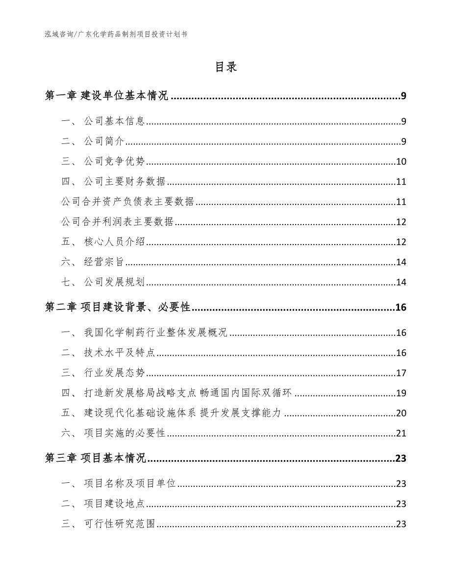 广东化学药品制剂项目投资计划书（范文模板）_第2页