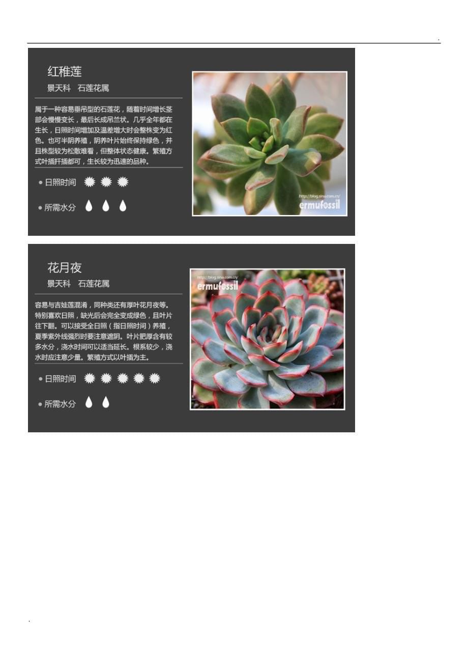 200种常见多肉植物图鉴_第5页