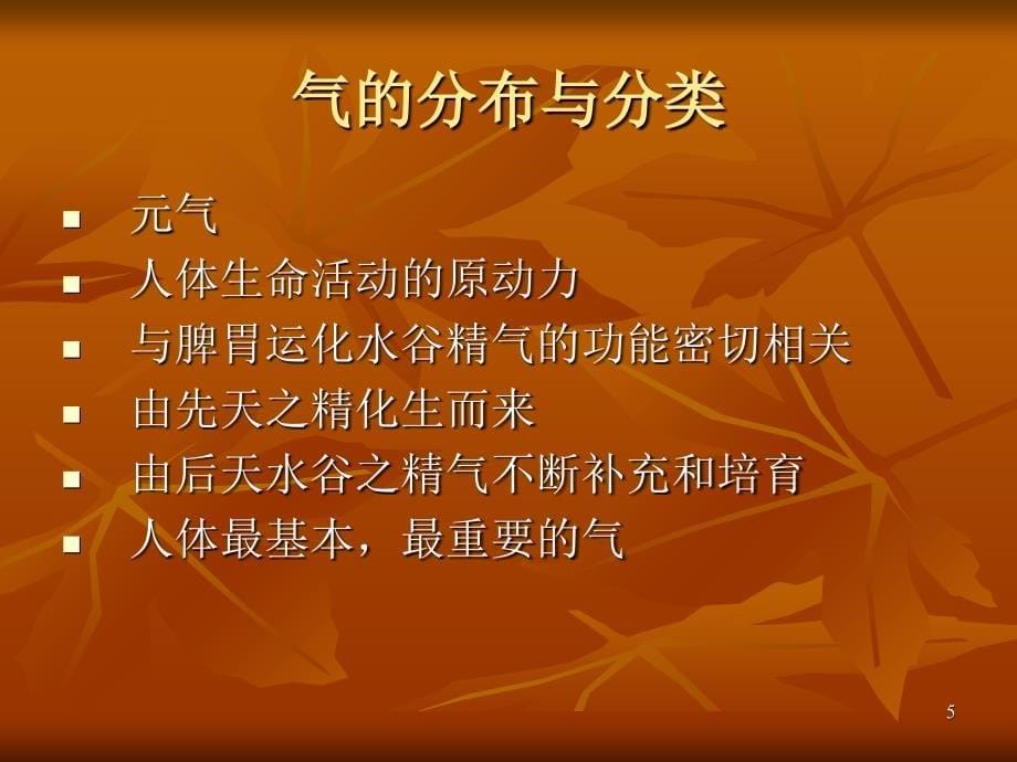 中药学综合知识与技能参考PPT_第5页