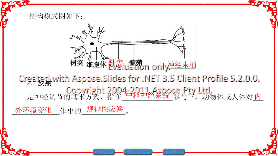 高中生物必修三奋兴在神经纤维的传导_第4页