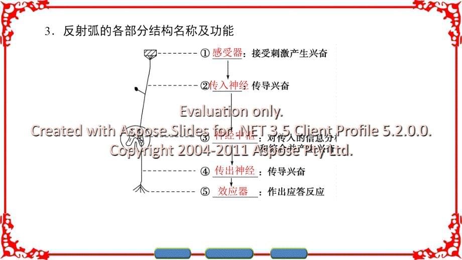 高中生物必修三奋兴在神经纤维的传导_第5页