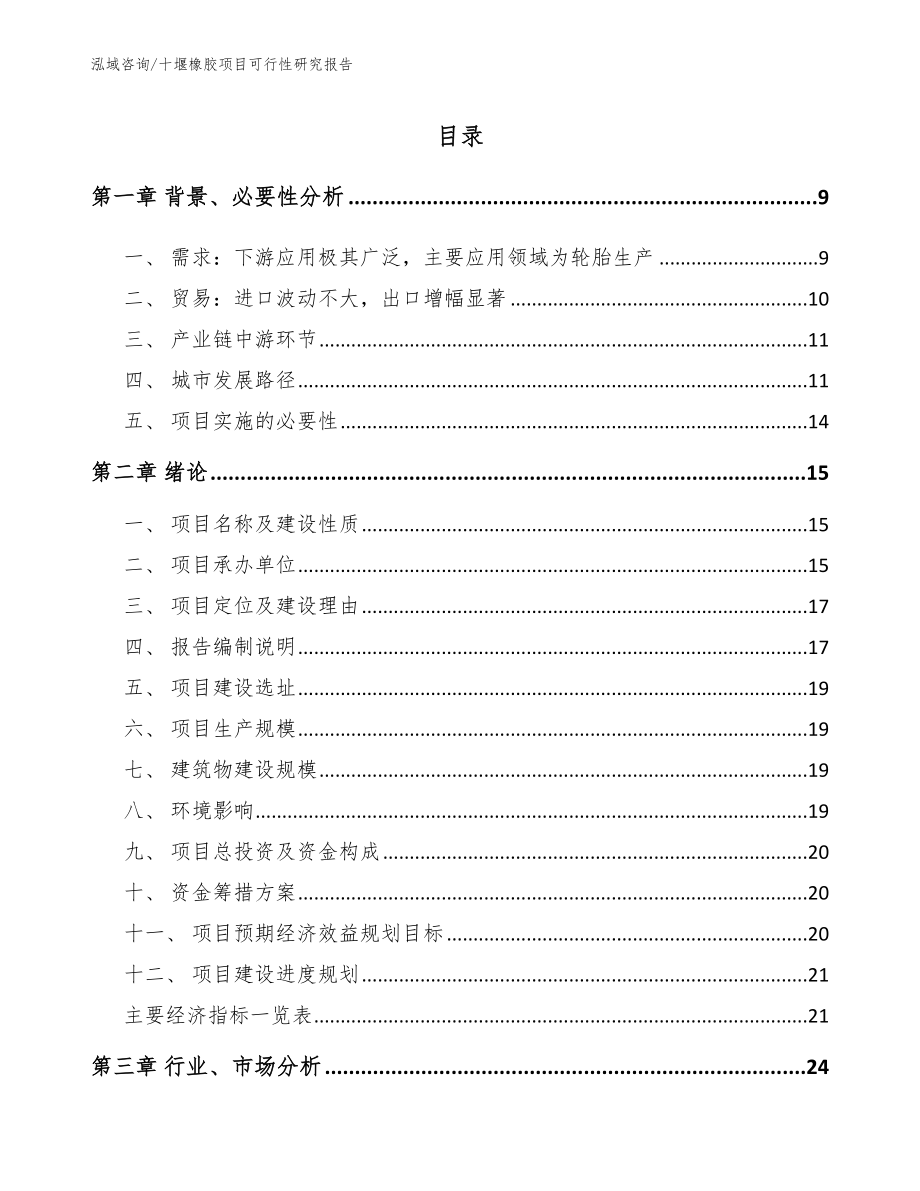 十堰橡胶项目可行性研究报告_第2页