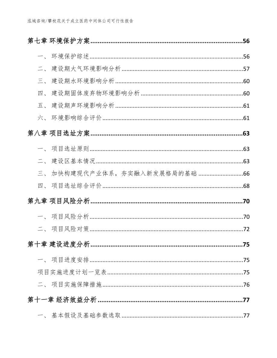 攀枝花关于成立医药中间体公司可行性报告【模板范文】_第5页