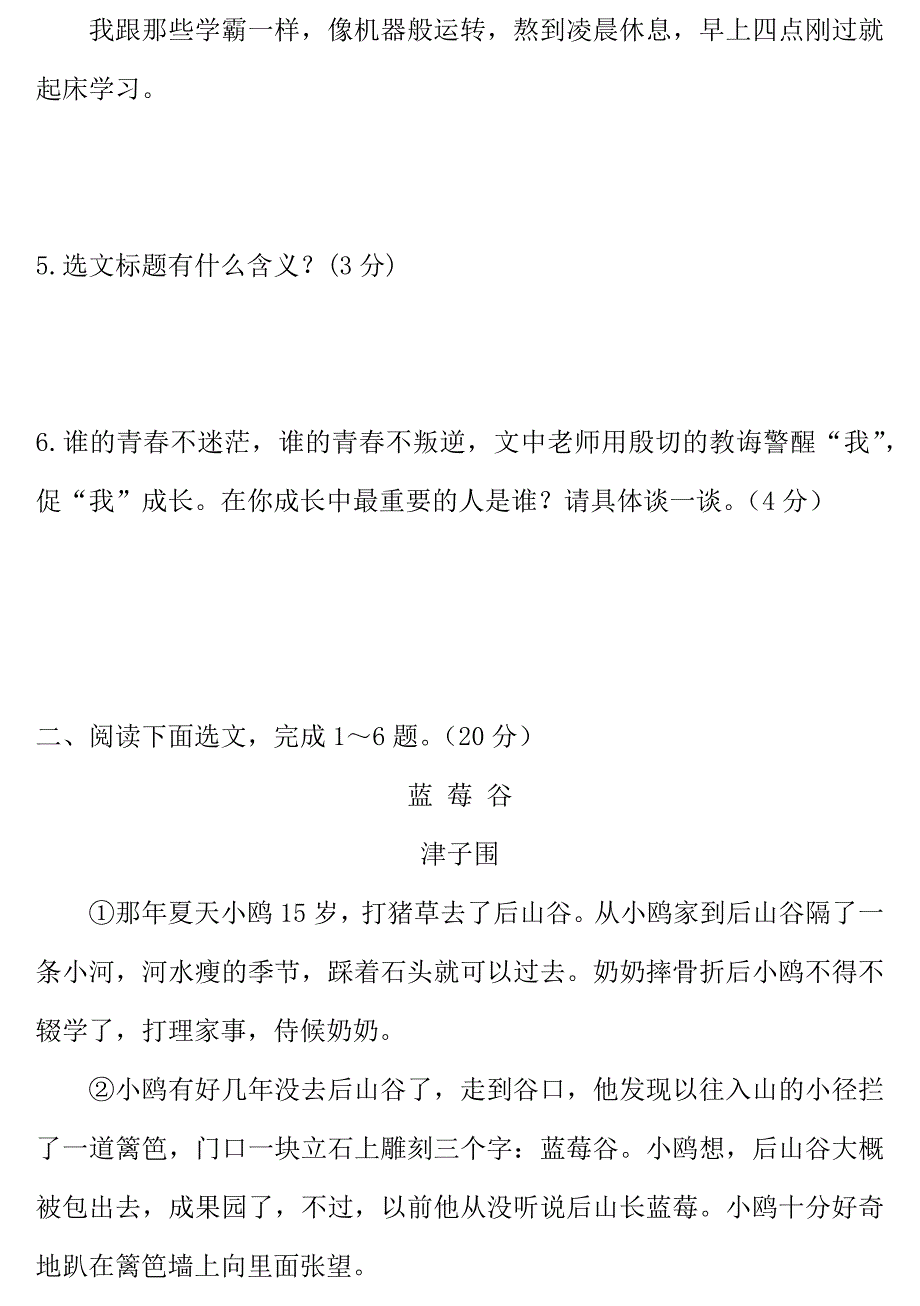 辽宁省沈阳市中考语文试题研究 记叙文阅读5篇_第4页