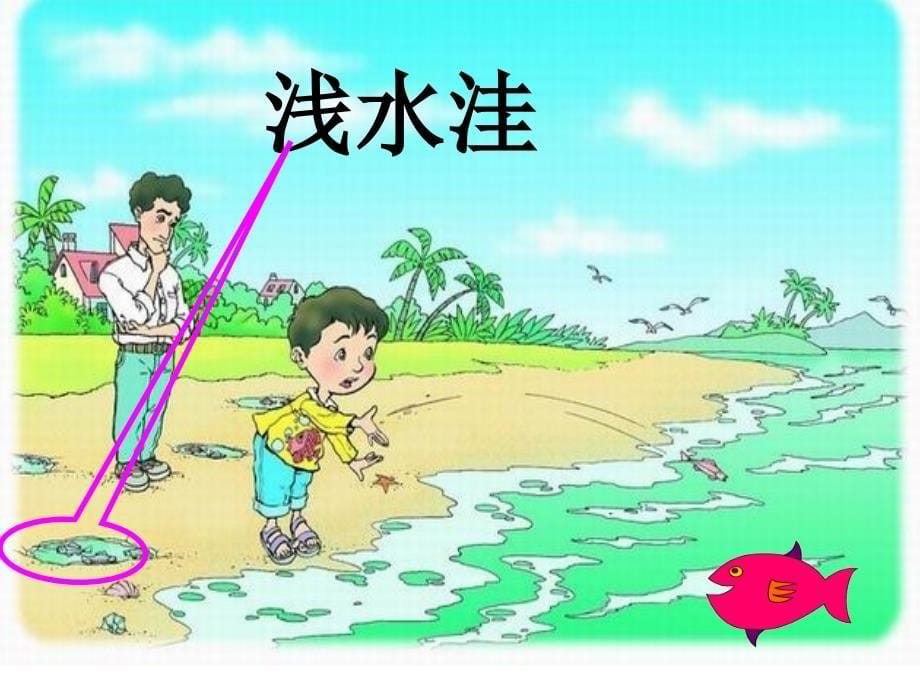 《浅水洼里的小鱼》幸福课堂_第5页