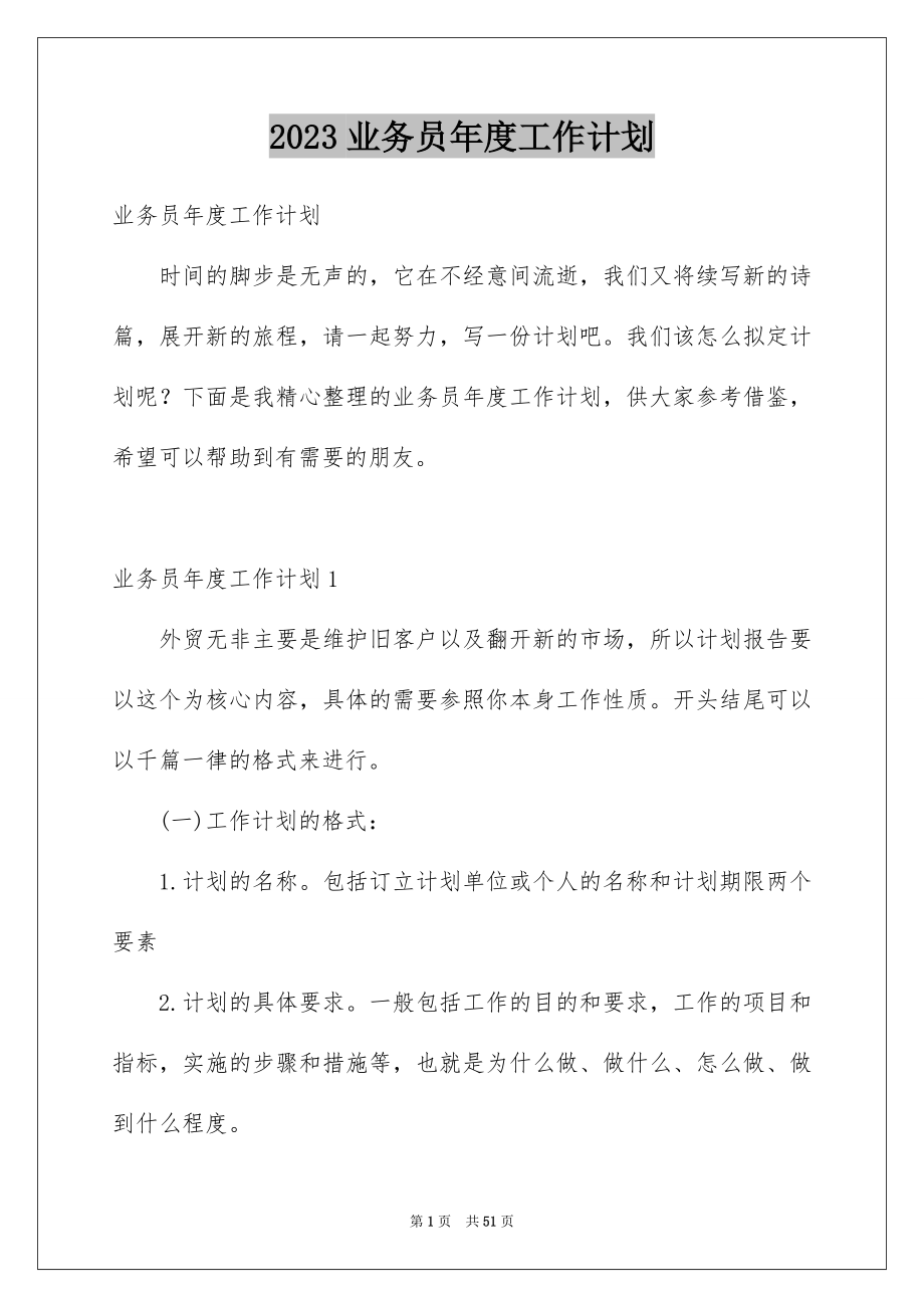 2023年业务员年度工作计划.docx