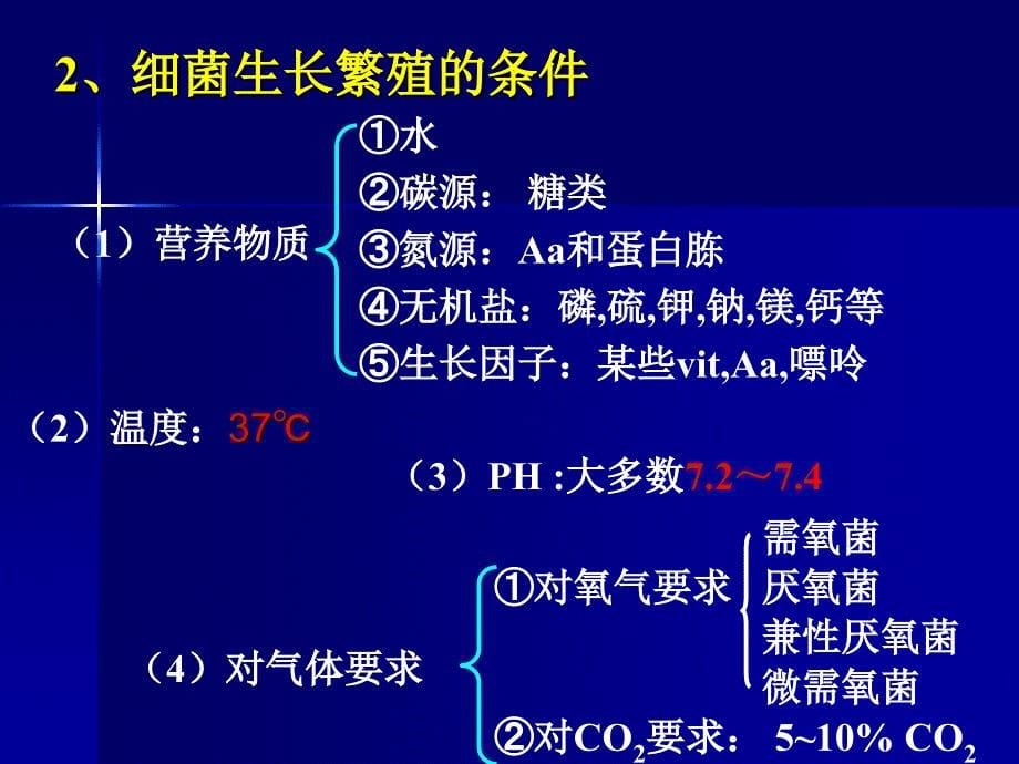 董海艳《医学微生物学》第2章细菌的生理_第5页