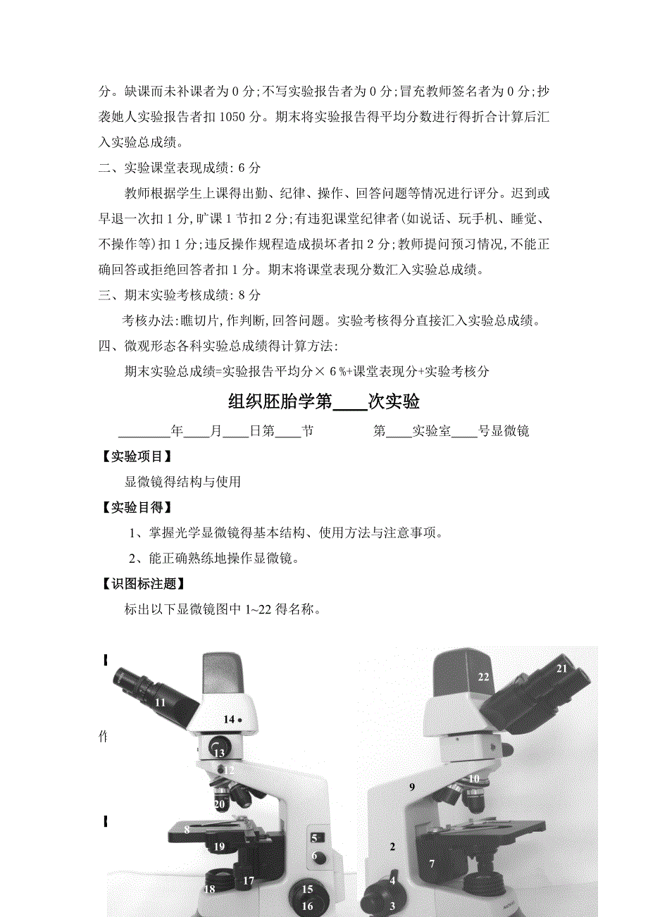 组胚病理遗传实验报告册_第3页