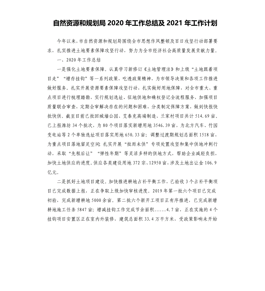 自然资源和规划局2020年工作总结及2021年工作计划_第1页